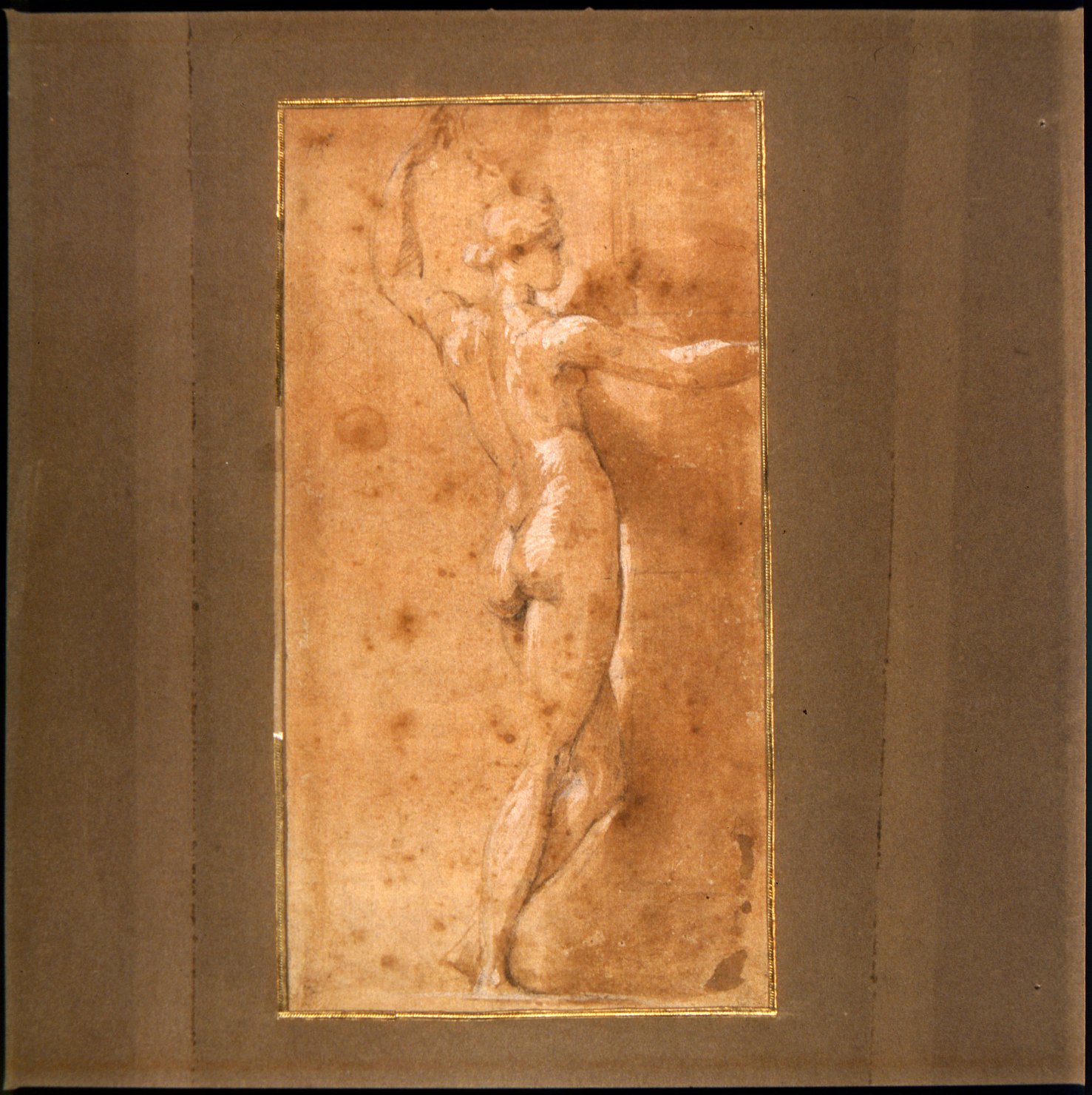 studio per una Vergine della Steccata (disegno preparatorio, opera isolata) by M